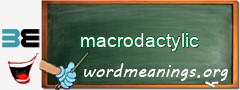 WordMeaning blackboard for macrodactylic